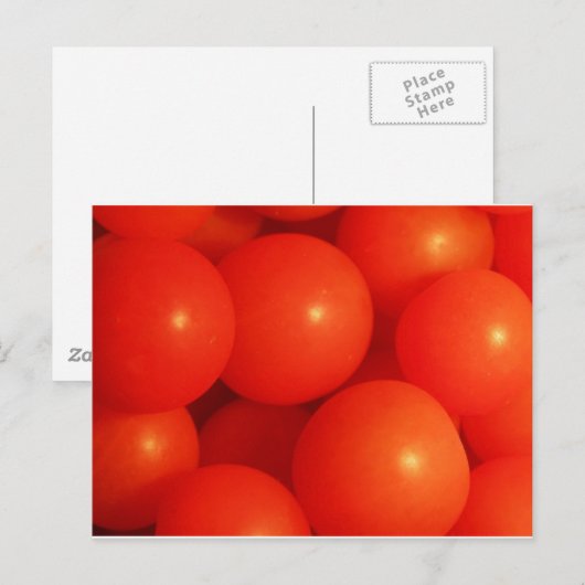 Tomate de cerise - carte postale (Devant / Derrière)