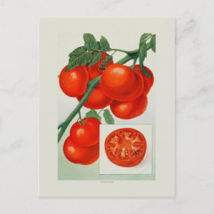 Tomaten Briefkaart