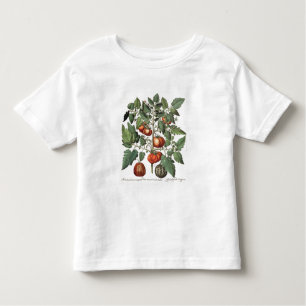 Tomaten en meloenen: 1.Poma amoris fructu luteo; 2 Kinder Shirts