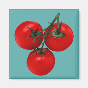 Tomaten Magneet