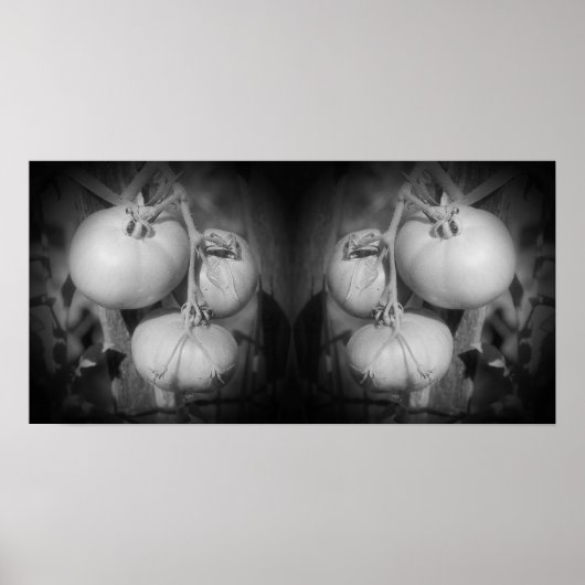 Tomaten op de wijnstok zwart-wit Abstract Poster (Voorkant)