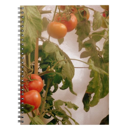 Tomaten op wijn notitieboek (Voorkant)