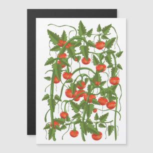 Tomaten Patroon