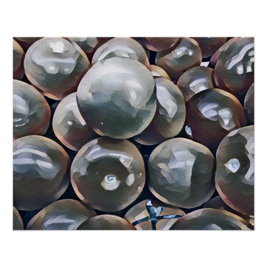 TOMATEN PERFECT POSTER (Voorkant)