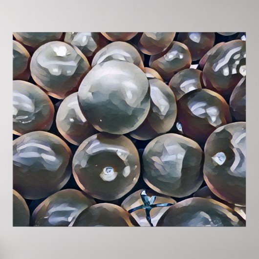 TOMATEN POSTER (Voorkant)