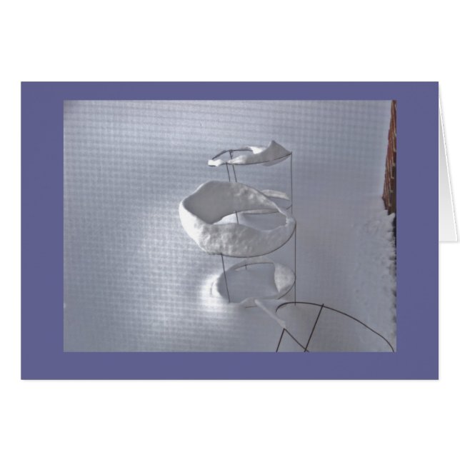 Tomatenkooi in de winter (Voorkant Horizontaal)