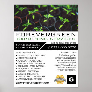 TomatenPlanten, tuinbouw, tuinbouwer Poster