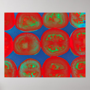 tomatenslakken poster