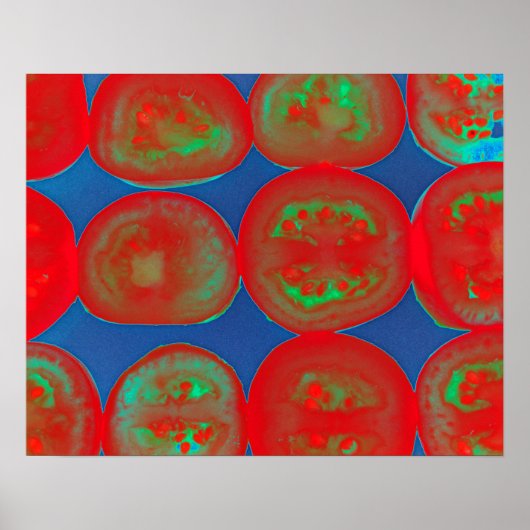 tomatenslakken poster (Voorkant)