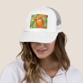 Tomates de Burpee, casquette (En situation)