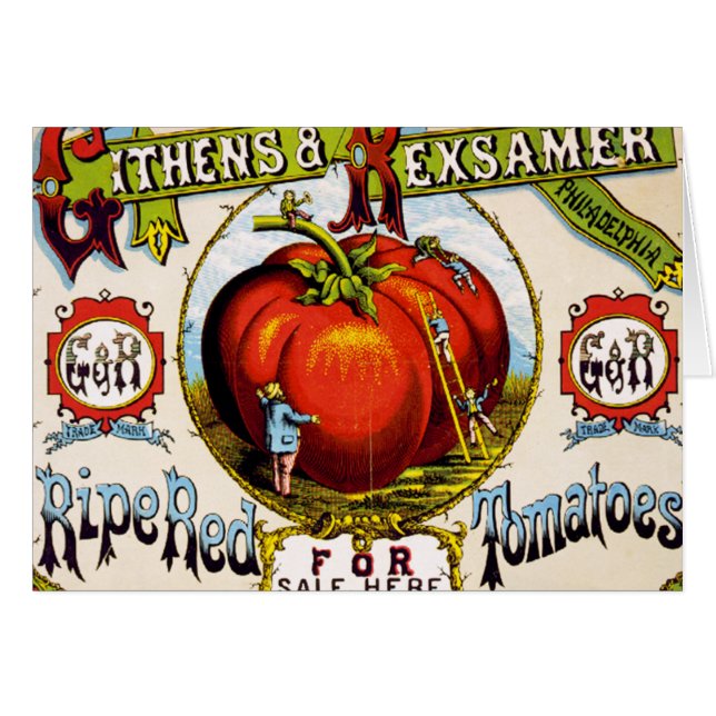 Tomates rouges mûres à vendre - Annonce Vintage (Devant horizontal)