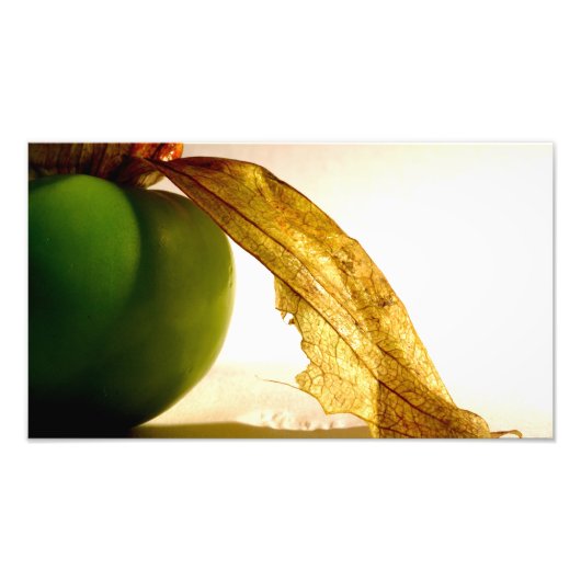 Tomatillo-studie Foto Afdruk (Voorkant)