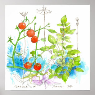 Tomato Basil Herbs Waterverf Garden Flowers Poster