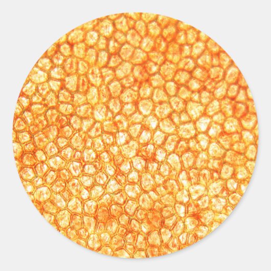 Tomato cells under a microscope ronde sticker (Voorkant)