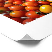 TOMATO Collage Poster (Hoek)