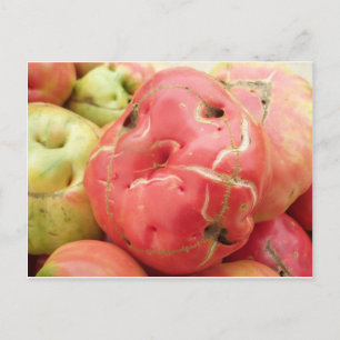 Tomato Face Briefkaart