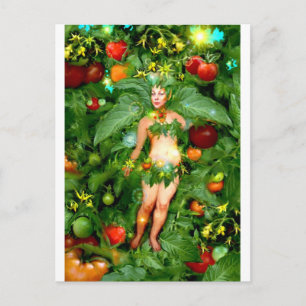 Tomato Fairy Briefkaart
