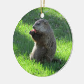 Tomato Groundhog Keramisch Ornament (Links)