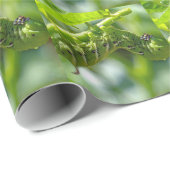Tomato Hornworm Cadeaupapier (Rol Hoek)