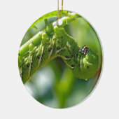 Tomato Hornworm Ceramic Ornament (Links)