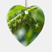 Tomato Hornworm Keramisch Ornament (Rechts)