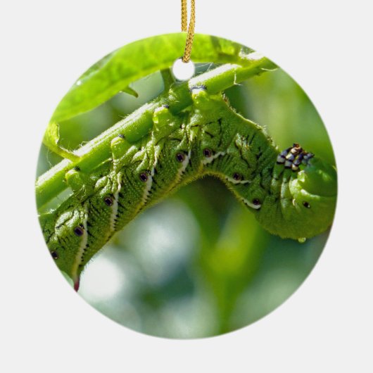Tomato Hornworm Keramisch Ornament (Voorkant)