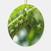 Tomato Hornworm Keramisch Ornament (Links)