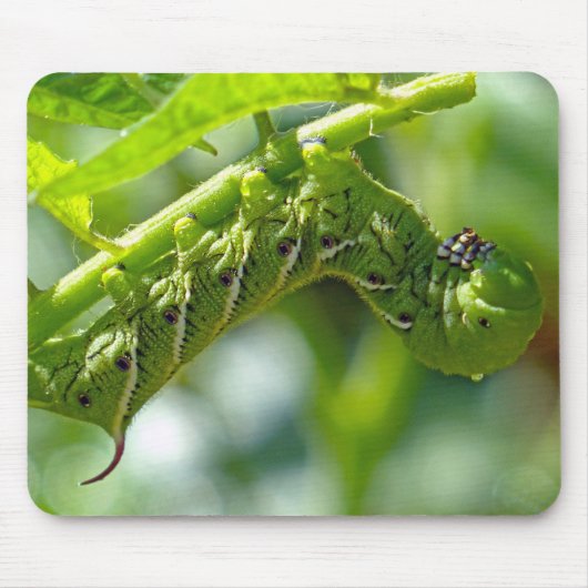 Tomato Hornworm Muismat (Voorkant)