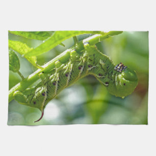 Tomato Hornworm Theedoek