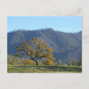 Tombe dans les montagnes... carte postale