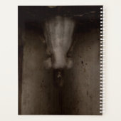 Tombé Je Te Vois (Dos)