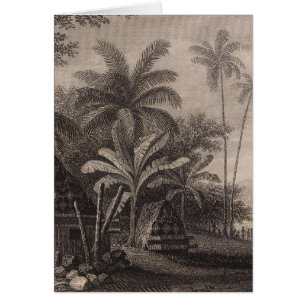 Tombeaux, Muthuata, Fidji