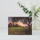 Tomber amoureux de la carte postale Iowa (Debout devant)