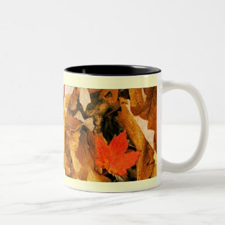 Tombez dans la tasse de feuille d'automne