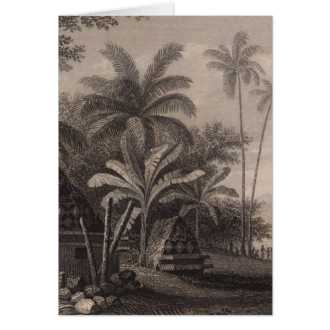 Tombs, Muthuata, Fiji (Voorkant)