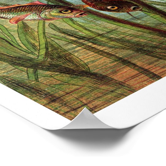 Tommelise erg desolaat op het waterlelblad, in poster (Hoek)