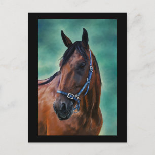 Tommy Standardbred Horse Art Briefkaart