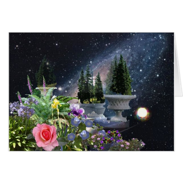 Tommy's Garden (Voorkant Horizontaal)