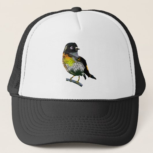 Tomtit Miromiro Trucker Pet (Voorkant)