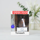 Tonasah Briefkaart (Staand voorkant)