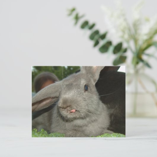 Tong Twister! | BRIEFKAART (Staand voorkant)