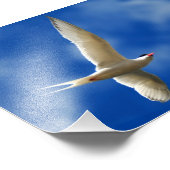 Tong Zee Foto Afdruk (Hoek)