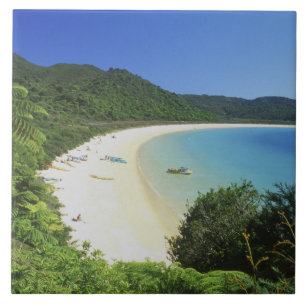 Tonga Bay, Abel Tasman NP, Zuidereiland, Nieuw Tegeltje