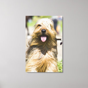 tongen, lange haren, portret canvas afdruk