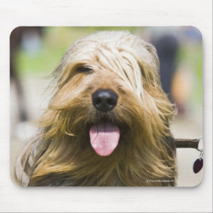 tongen, lange haren, portret muismat