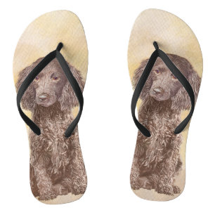 Tongs American Water Spaniel Peinture - Original Dog Art