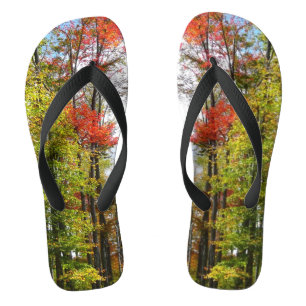 Tongs Arbres d'automne et ciel bleu Photographie de la n