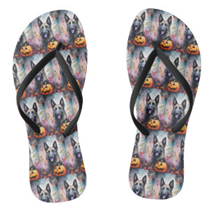 Tongs Berger belge Halloween avec citrouilles effrayant