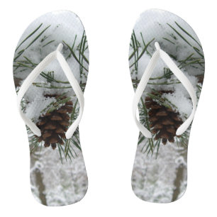 Tongs Branche des pins neigeux Photographie de la nature
