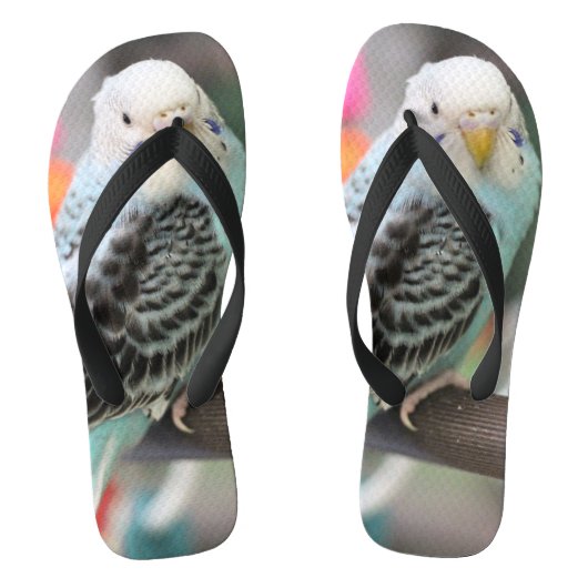 Tongs Budgie (Semelle)